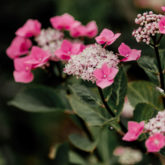 louizeandco-photo-mariage-aurelie-et-sacha-270